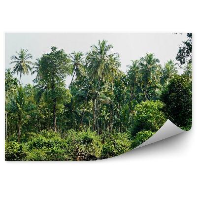 Öntapadós fotótapéta Pálmafák egy dzsungelben lévő tóban