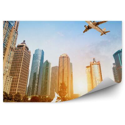 Poszter tapéta Repülőgép a városi park természet felett