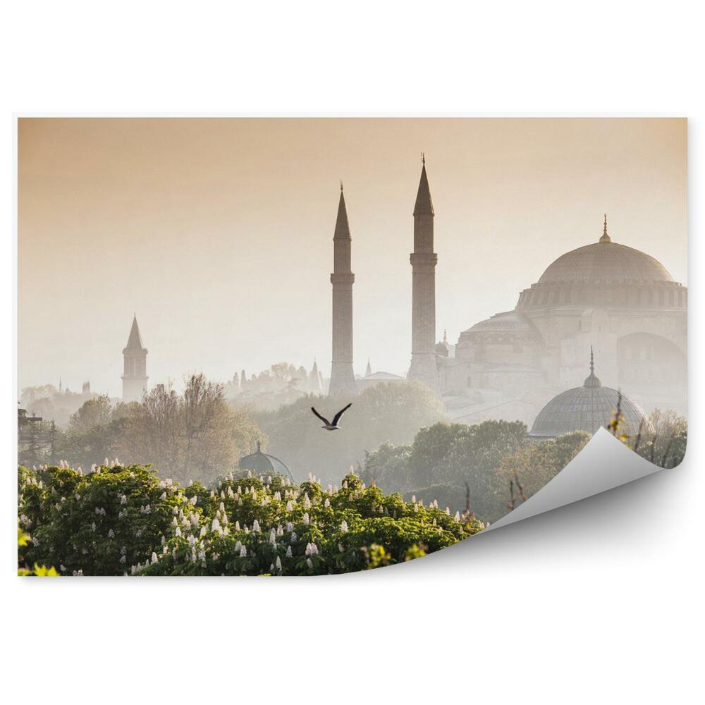 Fotótapéta Sultanahmet camii / kék mecset istambul pulyka