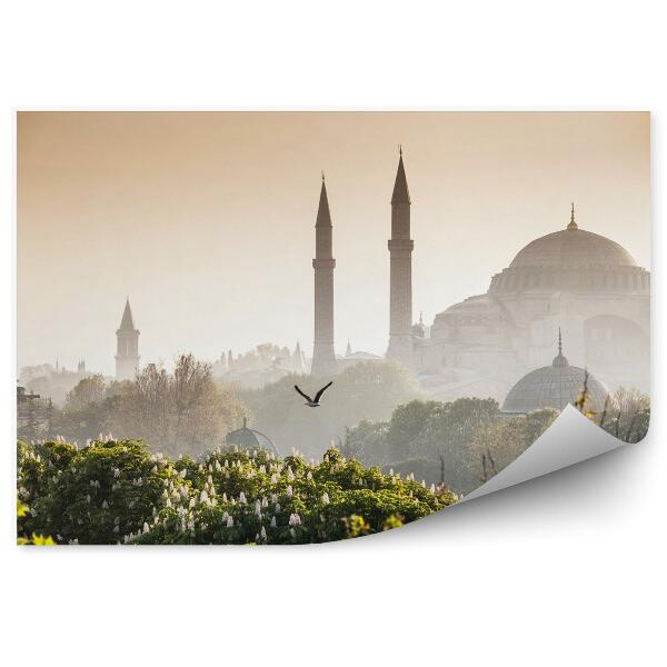 Fotótapéta Sultanahmet camii / kék mecset istambul pulyka