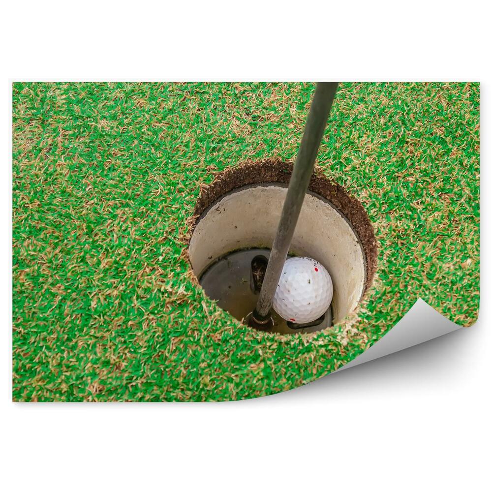 Fotótapéta Lyukas golflabda füves bot
