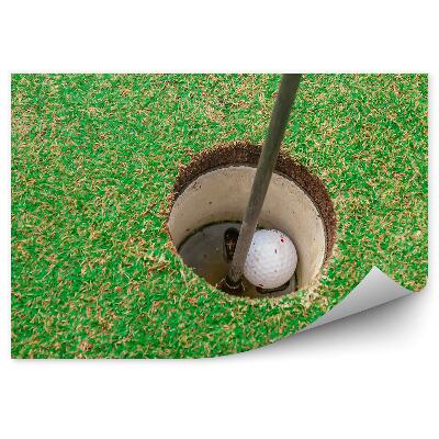 Fotótapéta Lyukas golflabda füves bot