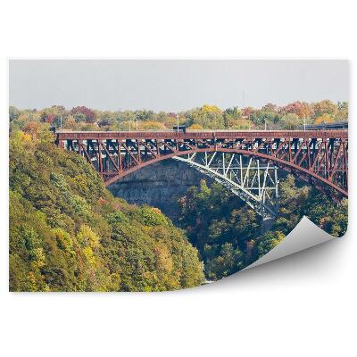Öntapadós fotótapéta fák növényzet híd a folyó felett