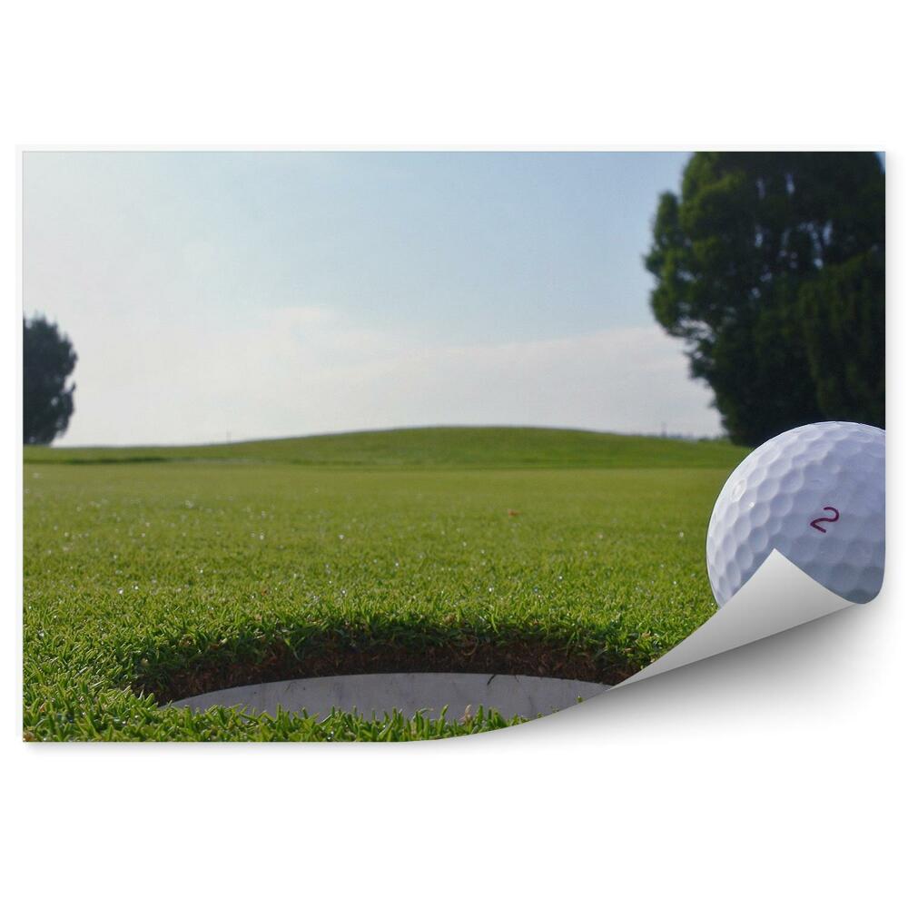 Fotótapéta Lyukas golflabda fák fű víz ég felhők