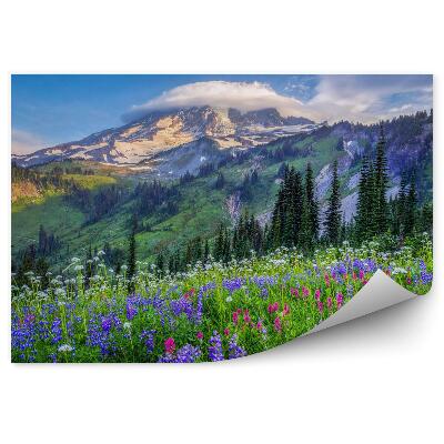 Fotótapéta Hegyi virág táj