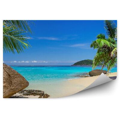 Fotó poszter tapéta Trópusi tengerpart sziklák pálmafák homok