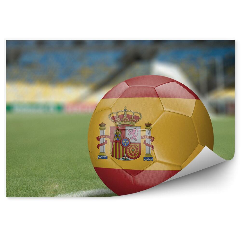 Fotótapéta Spanyol foci a pályán