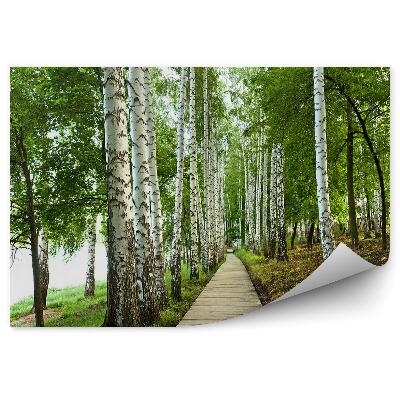 Öntapadós fotótapéta Nyírerdei füves út sikátorban