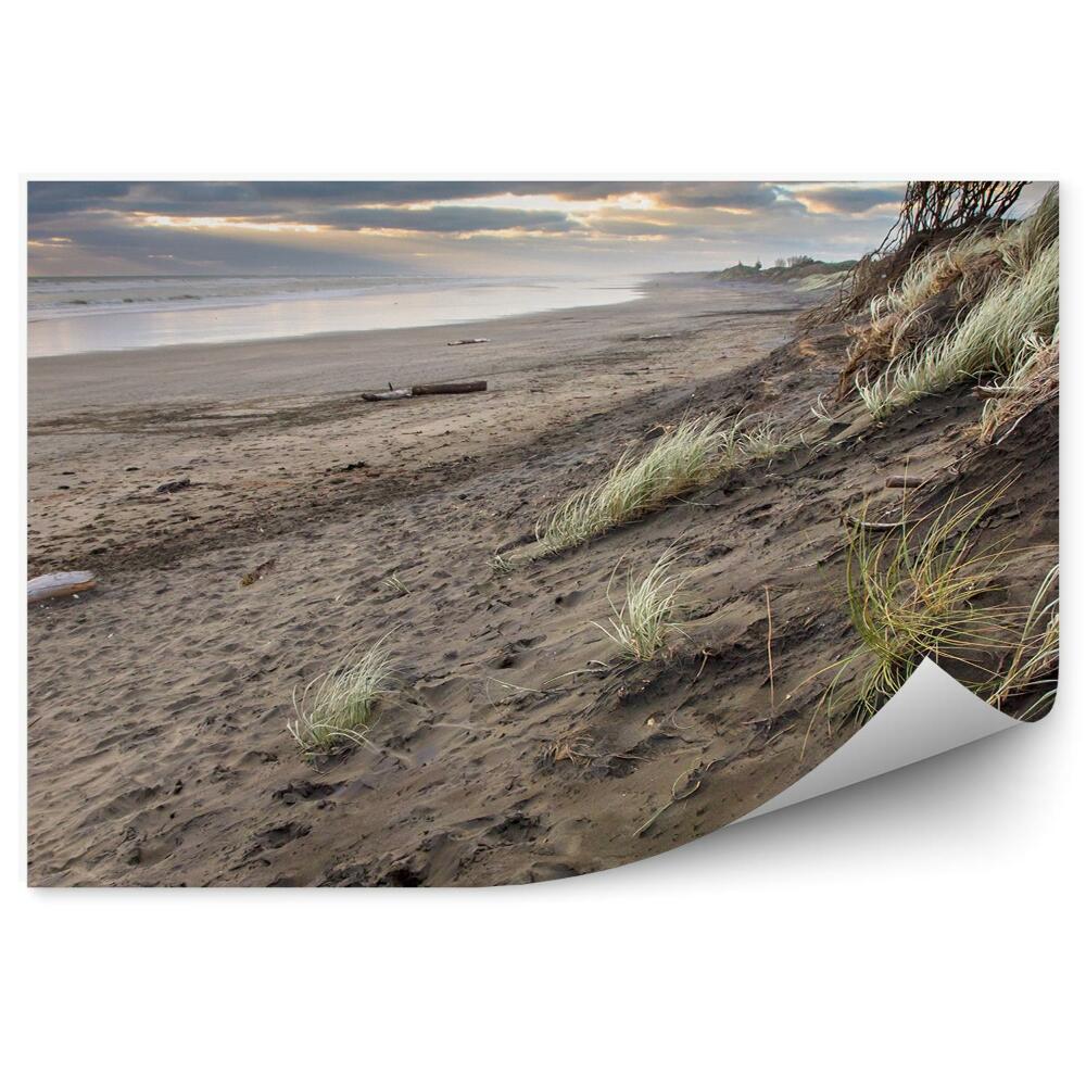 Öntapadó fotótapéta Viharos nap fű strand óceán ég felhők muriwai