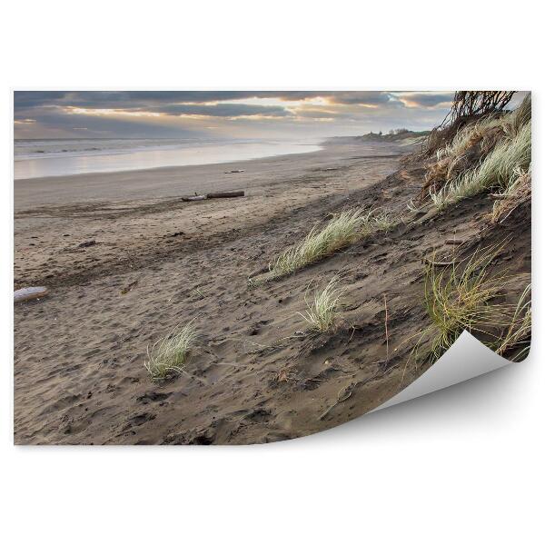 Öntapadó fotótapéta Viharos nap fű strand óceán ég felhők muriwai