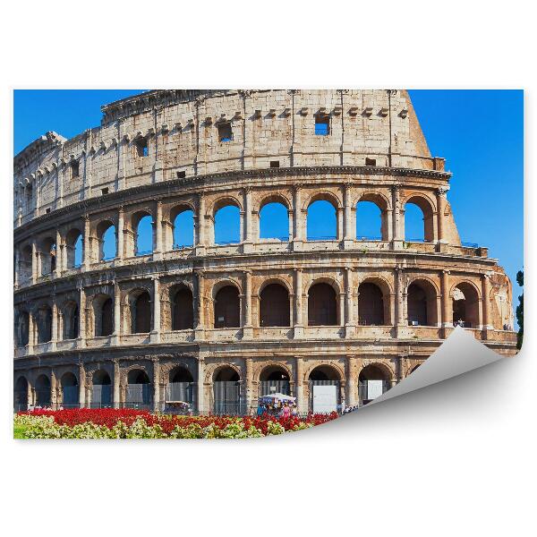 Fotó poszter tapéta Colosseum római virágok növényi természet