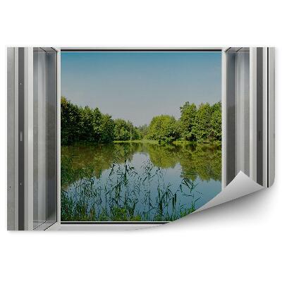 Öntapadós fotótapéta falra Szürke fal ablak erdei tó fák