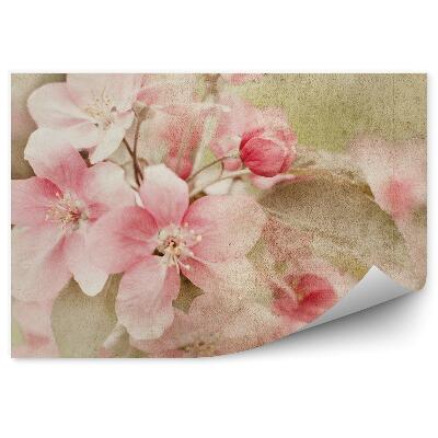 Fotótapéta Rózsaszín alma virágok barna háttér