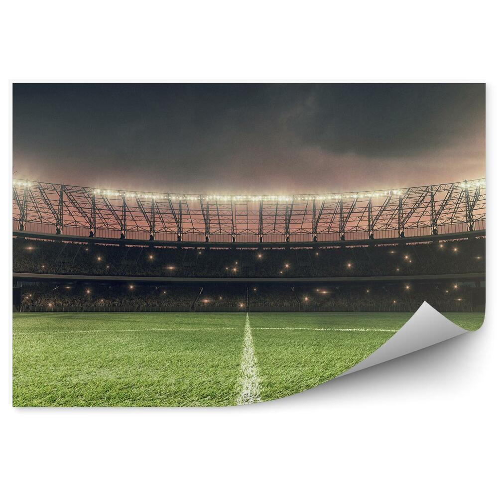 Fotótapéta Futballpálya gyep