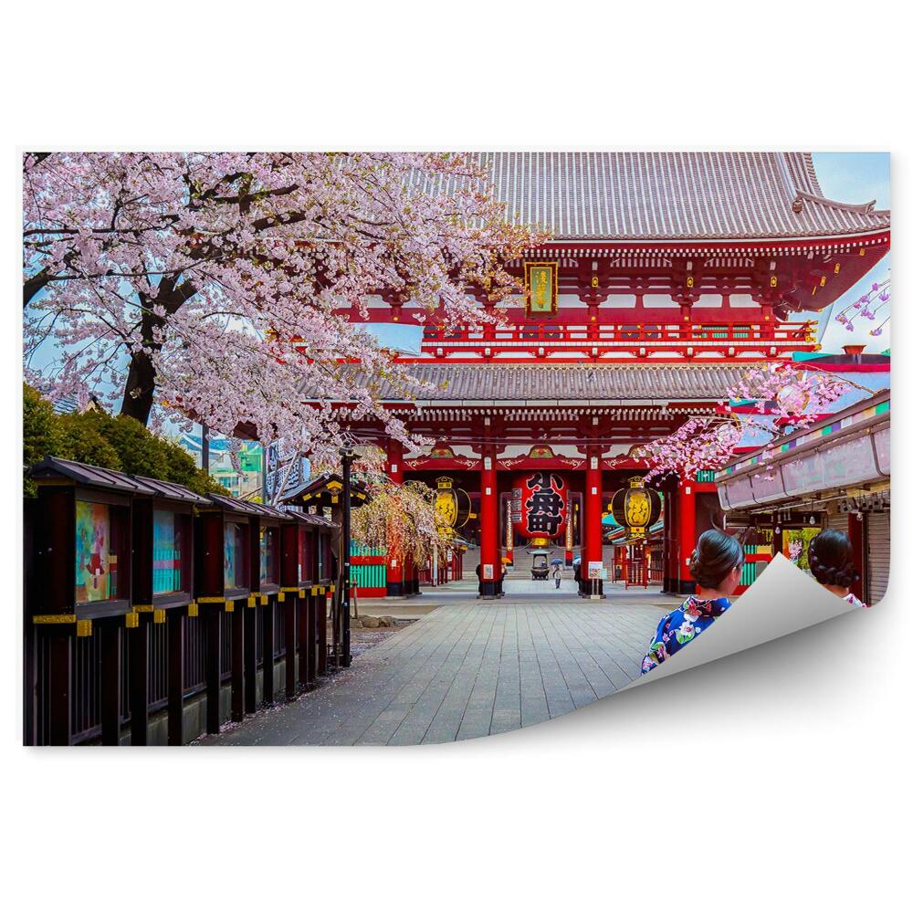 Fotó poszter tapéta Sakura természet város japán gésák kimonók