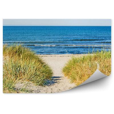 Öntapadó fotótapéta Beach fű óceán ég