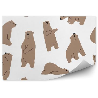 Poszter tapéta Mackó állatminta