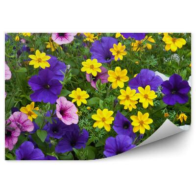 Öntapadós fotótapéta színes virágok tisztás növények zöld mező
