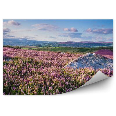 Fotótapéta Dombok a hangában