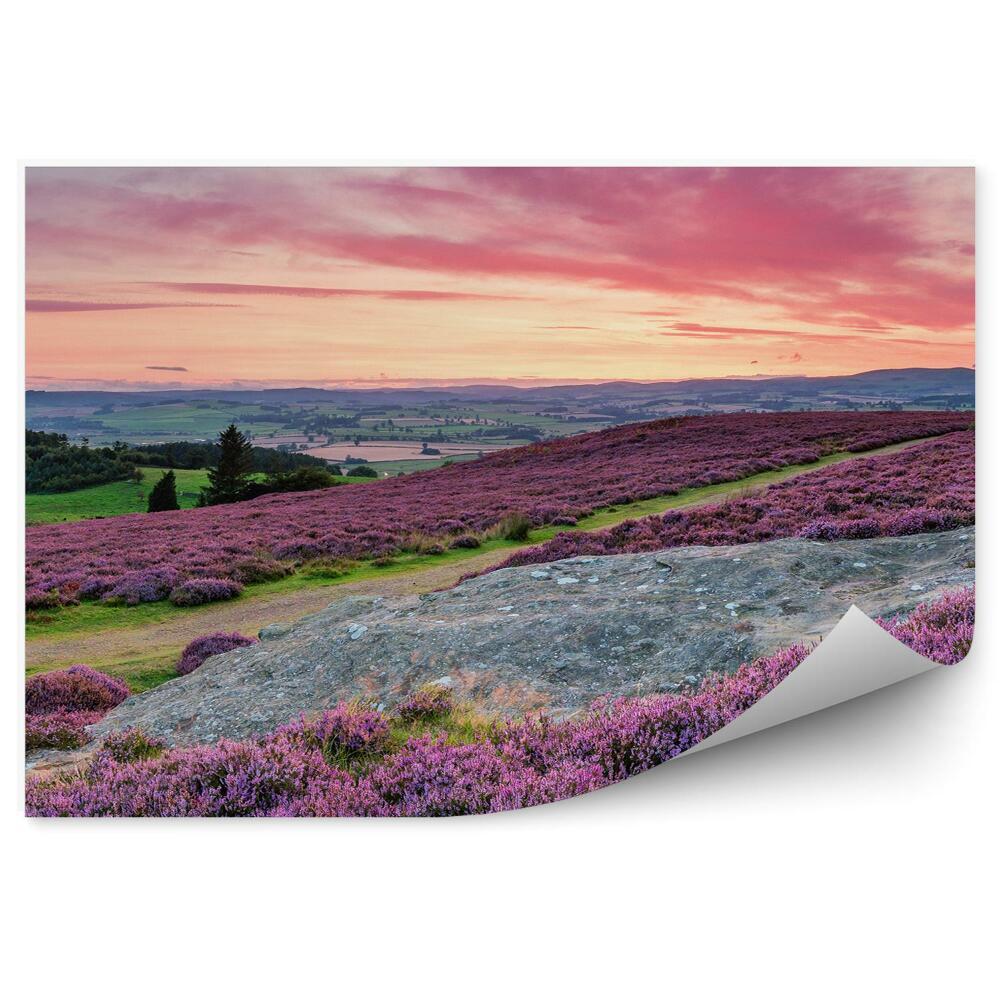 Fotótapéta Panoráma a láphegyre