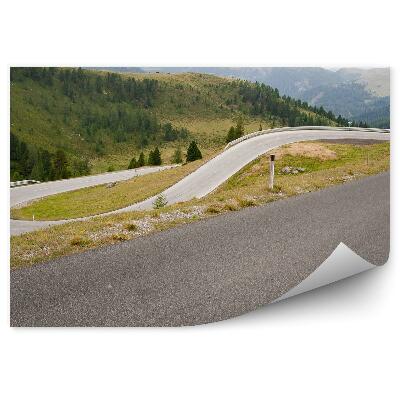 Öntapadós fotótapéta falra Közúti tűlevelű fák hegyek Alpok