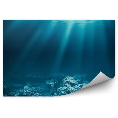 Öntapadó fotótapéta Óceánfenék korallzátony a nap sugaraival