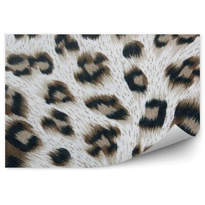 Öntapadó fotótapéta Párduc foltok