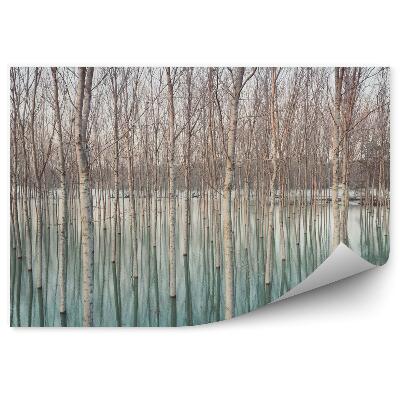 Poszter tapéta Nyírfák elárasztott falu természetes mintájában