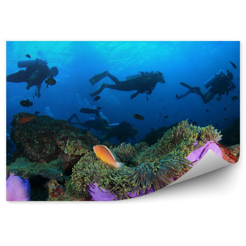 Poszter tapéta Búvárok halrajok anemone