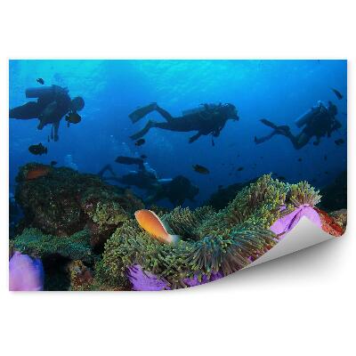Poszter tapéta Búvárok halrajok anemone