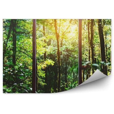 Öntapadós fotótapéta falra Nagy ablakai a zöld erdei növényzetre néznek