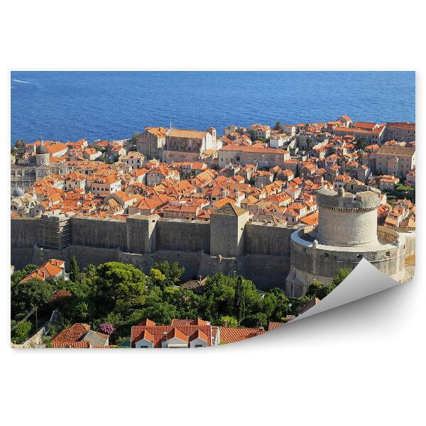 Fotótapéta régi város tengeri fák Dubrovnik