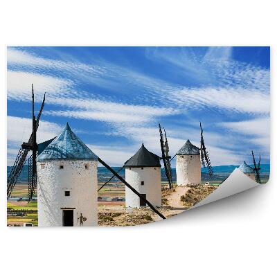 Fotótapéta Szélmalmok mezők táj