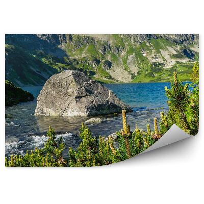 Öntapadós fotótapéta Az 5 tó völgye Tátrai hegység