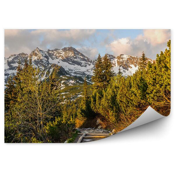 Öntapadós fotótapéta falra Hala gąsienicowa tatry hegyek égbolt felhők fák