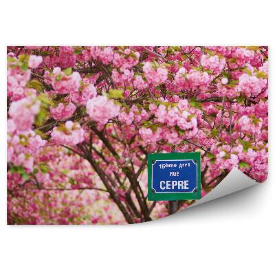 Fotótapéta Párizs utcatábla, virágzó cseresznyefa