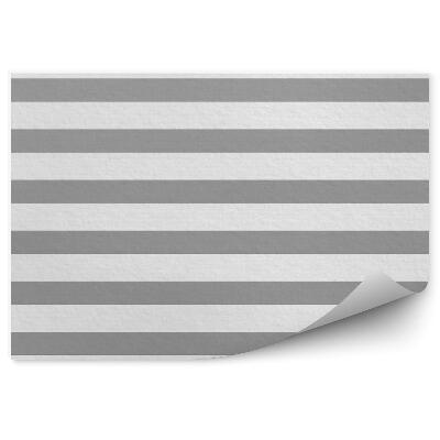 Fotótapéta Szürke és fehér csíkok