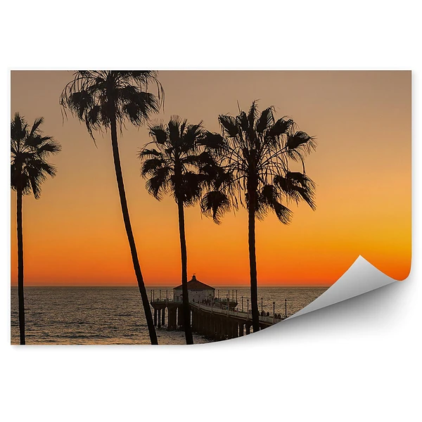 Öntapadós fotótapéta Pálmafák és a Manhattan Beach móló naplemente
