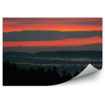 Modern fotótapéta Naplemente tűlevelű fák köd