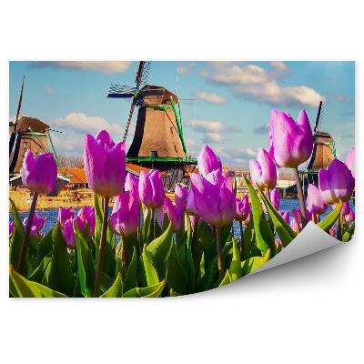 Fotótapéta Kilátás a szélmalmokra