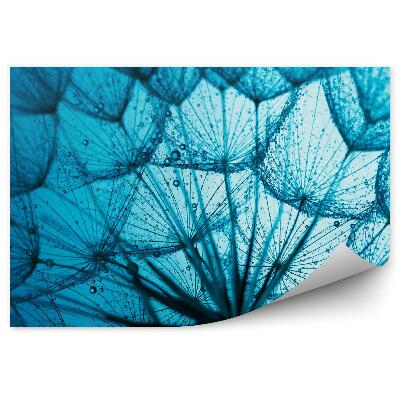 Modern fotótapéta kék háttér