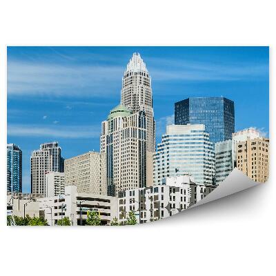 Fotótapéta Charlotte new york város sziluettje fák az embereket