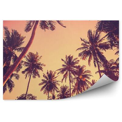 Öntapadós fotótapéta Pálmafák sziluettjei naplementében, szüreti szüreteléskor