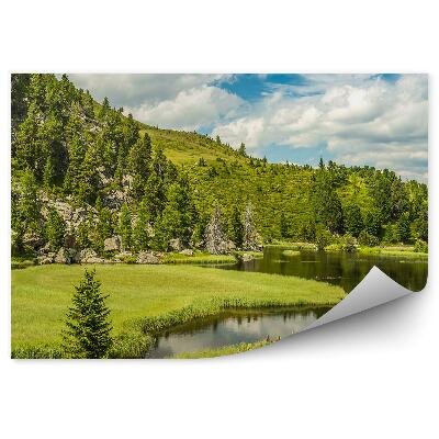Öntapadós fotótapéta Alpesi tó hegyek tűlevelű fák ég felhők sziklák