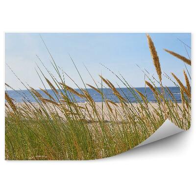 Fotótapéta Zöld fű háttér kék tenger tengerpart