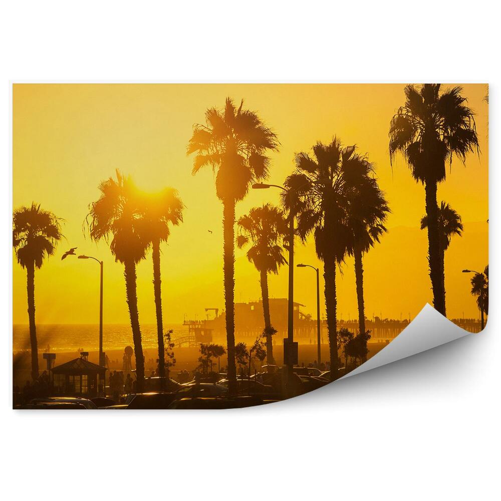 Poszter tapéta naplemente pálmafák autók strand Los Angeles