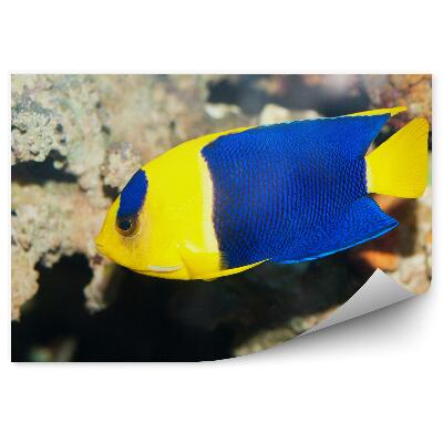 Fotótapéta Angyalhal