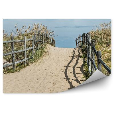 Öntapadós fotótapéta falra strand Sanbridge füves növények égbolt felhők virginia