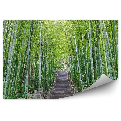 Öntapadós fotótapéta Kő lépcsők bambusz erdő fák