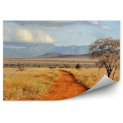 Fali poszter tapéta Útúti homok száraz fű növényzet dombok